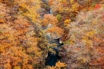 吾妻峡の秋