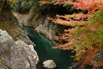 耶馬渓の魔林峡の秋風景