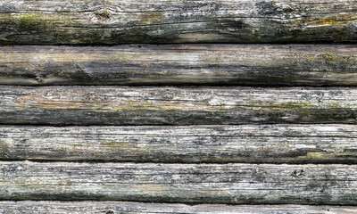Wooden wood background texture log