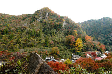 秋を迎えた耶馬渓の風景