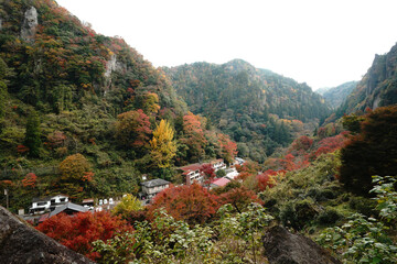 秋を迎えた耶馬渓の風景