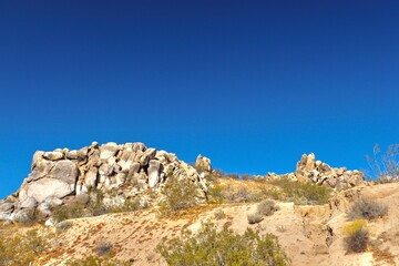 Fototapeta premium Southern California Desert Landscape with Rocks and Mountains 