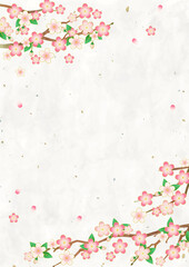 満開の桜と和紙の背景素材、ベクターイラストフレーム / A4　縦