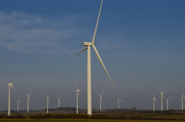 Wind turbines in the field against the blue sky.