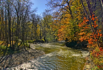 river scene in autumn forest
