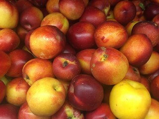 Nectarinas 2