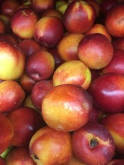 Nectarina 3