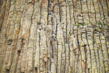 rock climbing devils tower