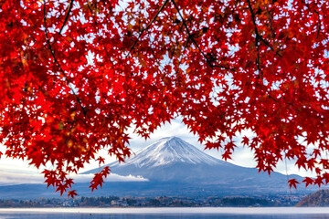 Fuji Mountain and Red Maple Leaves in Autumn at Kawaguchiko Lake, Japan