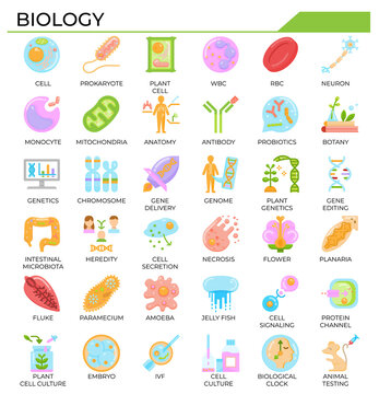 Biology and science flat design icon set.