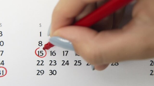 Female hand circle day in calendar date with a red marker. Business Basics Wall Calendar Planner and Organizer. November 15th