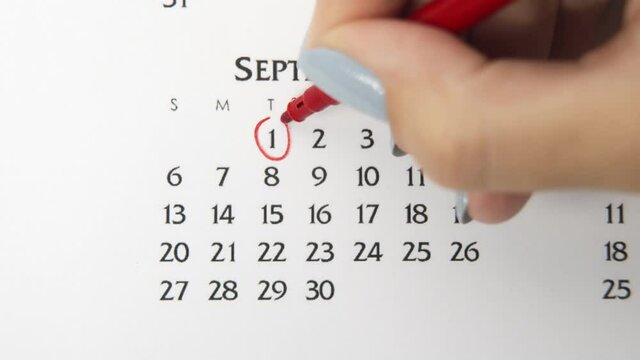 Female hand circle day in calendar date with a red marker. Business Basics Wall Calendar Planner and Organizer. September 1th