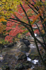 A river flows through the valley. Autumn landscape. Shot in Odamiyama, Ehime, Japan. Ishizuchi Quasi-National Park.