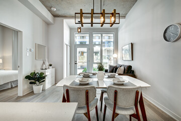 Beautiful Canadian style luxury furnished and staged apartment in the apartment building