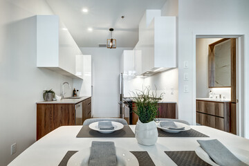 Beautiful Canadian style luxury furnished and staged apartment in the apartment building