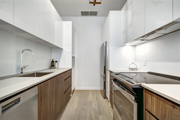 Beautiful Canadian style luxury furnished and staged apartment in the apartment building