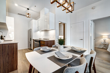 Beautiful Canadian style luxury furnished and staged apartment in the apartment building