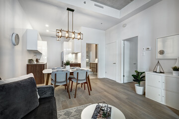 Beautiful Canadian style luxury furnished and staged apartment in the apartment building