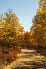 Fall 2020 in Buena Vista