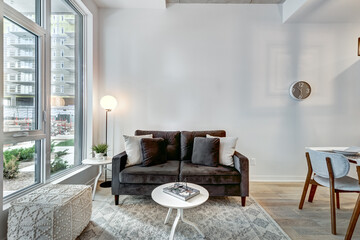 Beautiful Canadian style luxury furnished and staged apartment in the apartment building