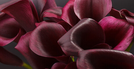 dark purple calla lily petals pattern, macro photography