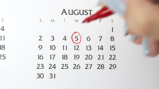 Female hand circle day in calendar date with a red marker. Business Basics Wall Calendar Planner and Organizer. August 5th