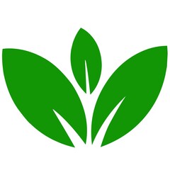 green leaf icon