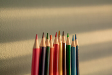 Colored pencils in a row illuminated by the sun and a white wall in the background.