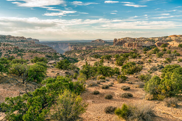Fototapeta na wymiar Southwest USA desert landscape