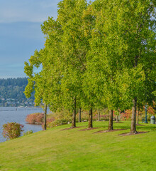 Naklejka premium Beautiful view of Gene Coulon Memorial Beach Park in Renton, King County, Washington