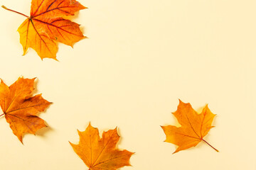Orange autumn leaves on a yellow background, the concept of autumn, the preparation for the text, Thanksgiving day. Copy space.