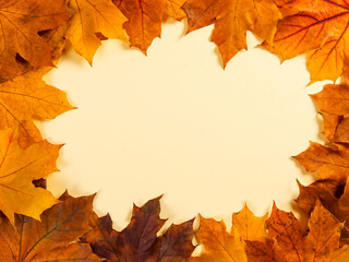 Naklejka na ściany i meble Orange autumn leaves make frame on a yellow background, the concept of autumn template, the preparation for the text, Thanksgiving day. Copy space.