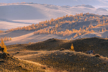mountains hills larch autumn sunlight