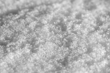 The surface of the melting snow closeup as a background.