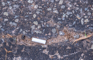 Cigarette butt discarded on a public street image in horizontal format