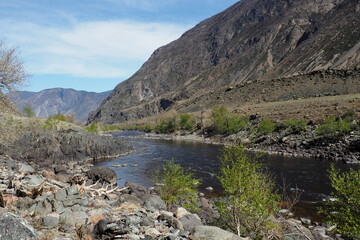 mountain Altai