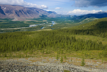 View of the Sob river valley on a August day. Polar Urals. YaNAO, Russia