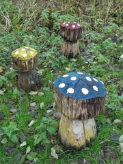 Colorful wood mushrooms in the forest