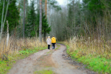 Senior woman and mature woman are walking in the autumn forest by the forest dirt road.