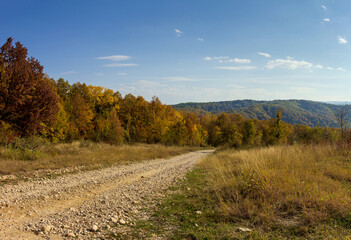 Fototapeta premium Country dirt road in the autumn forest on a Sunny day.