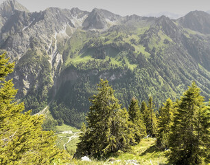 Beautiful mountain and forest view, Alps