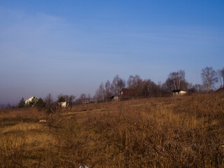 dry grass on the banks of the river in spring