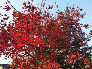 The landscape of Hansu-myeon, Jecheon City