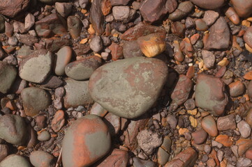 Beautiful shapes and pattern of beach stones or rocks, with different size and color. Nature background for text. 