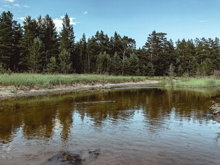 Obraz premium lake in the forest