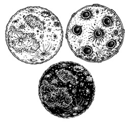 Moon planet set sketch. Hand drawn vector illustration.