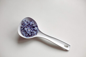 small blue flowers lie in a white spoon isolated
