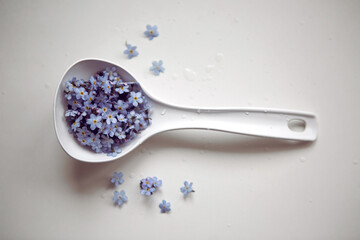 small blue flowers lie in a white spoon isolated
