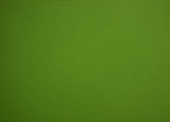 Green texture background with empty copy space for text. Minimalist backdrop. Empty template design