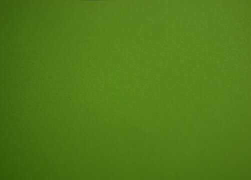 Green texture background with empty copy space for text. Minimalist backdrop. Empty template design